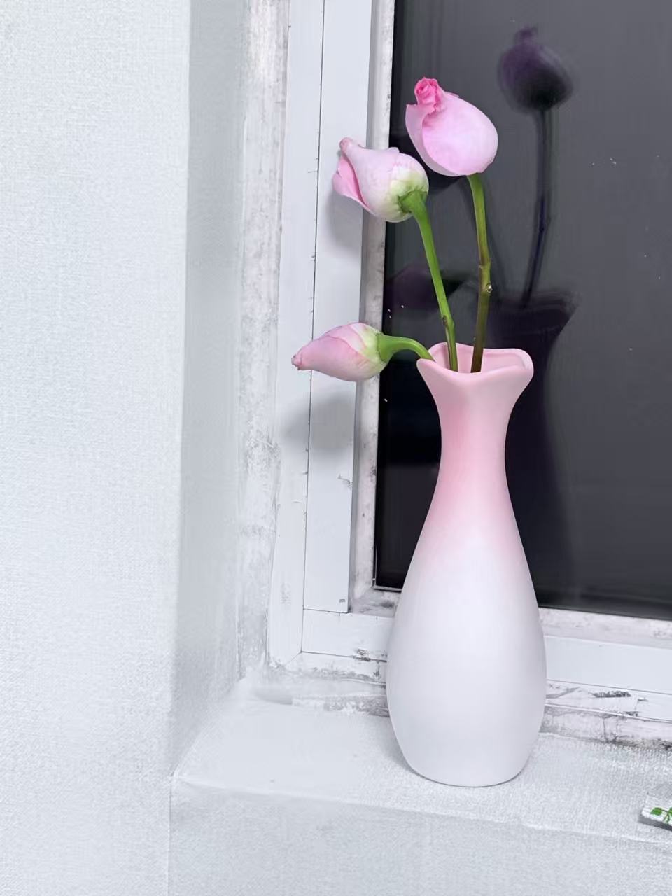 照片